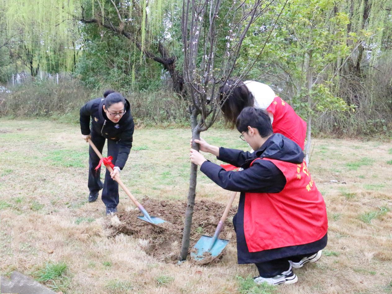 728ef1900090edbf101be784a70f730